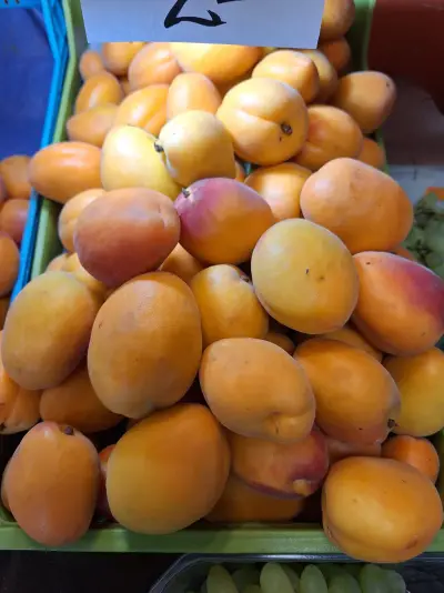 Albaricoques