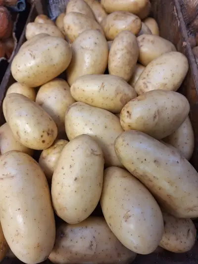 Patatas