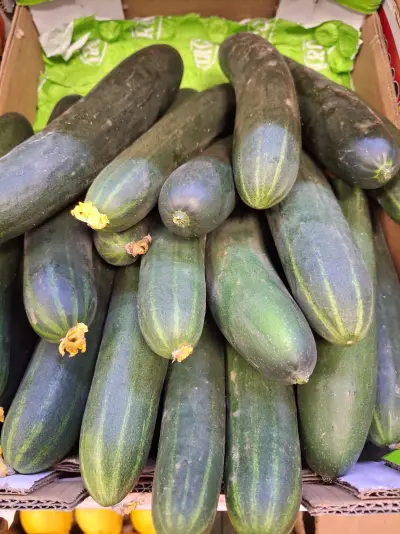Pepinos