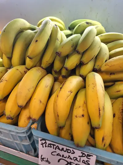 Plátanos de Canarias