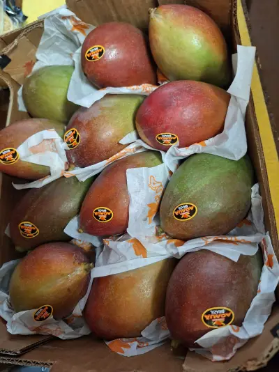 Mango de Brasil