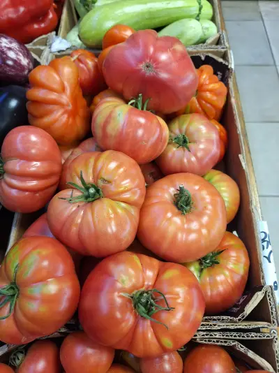 Tomate rosa